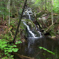 100_1242.jpg